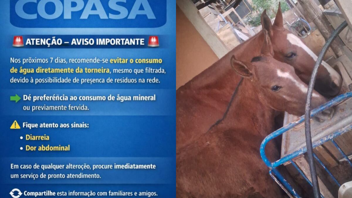 Égua da Copasa: Fake news sobre qualidade de água preocupa moradores