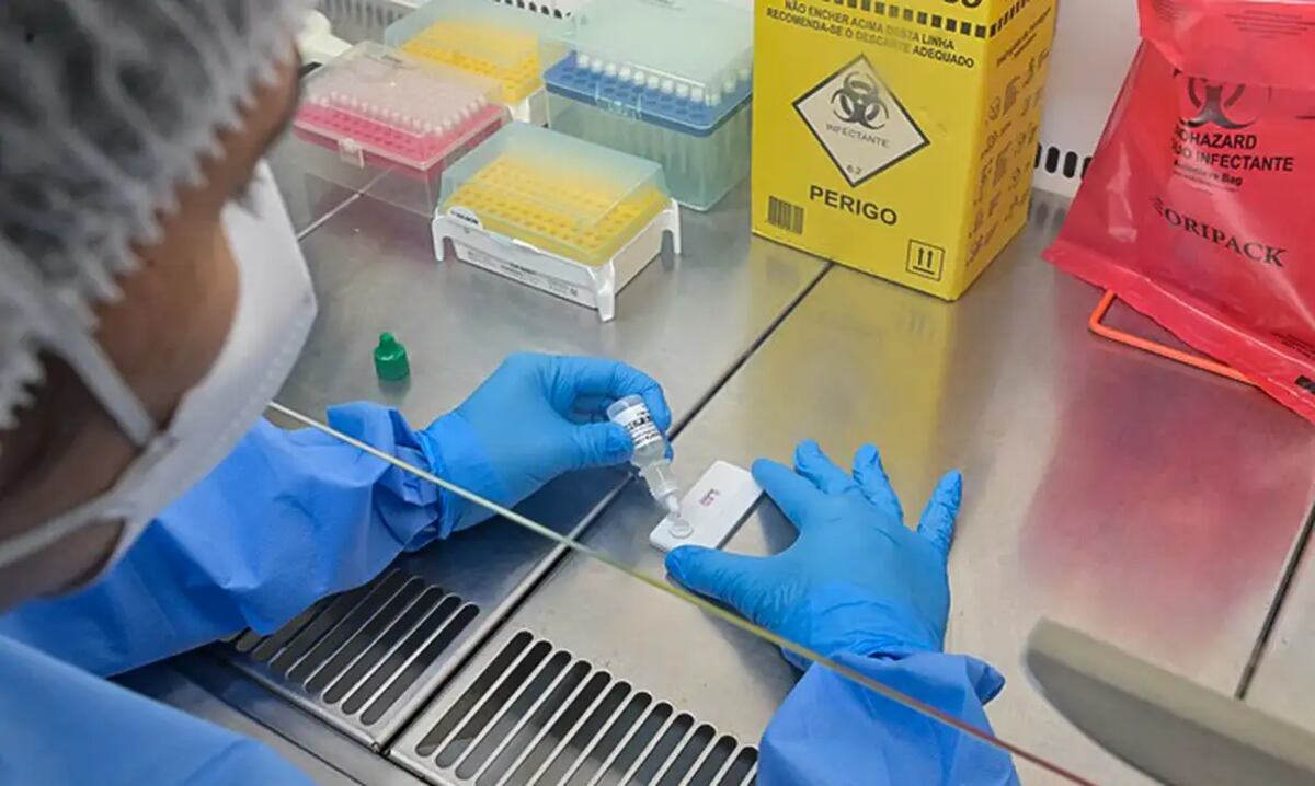 Hantavírus: entenda o cenário epidemiológico em MG e as formas de prevenção