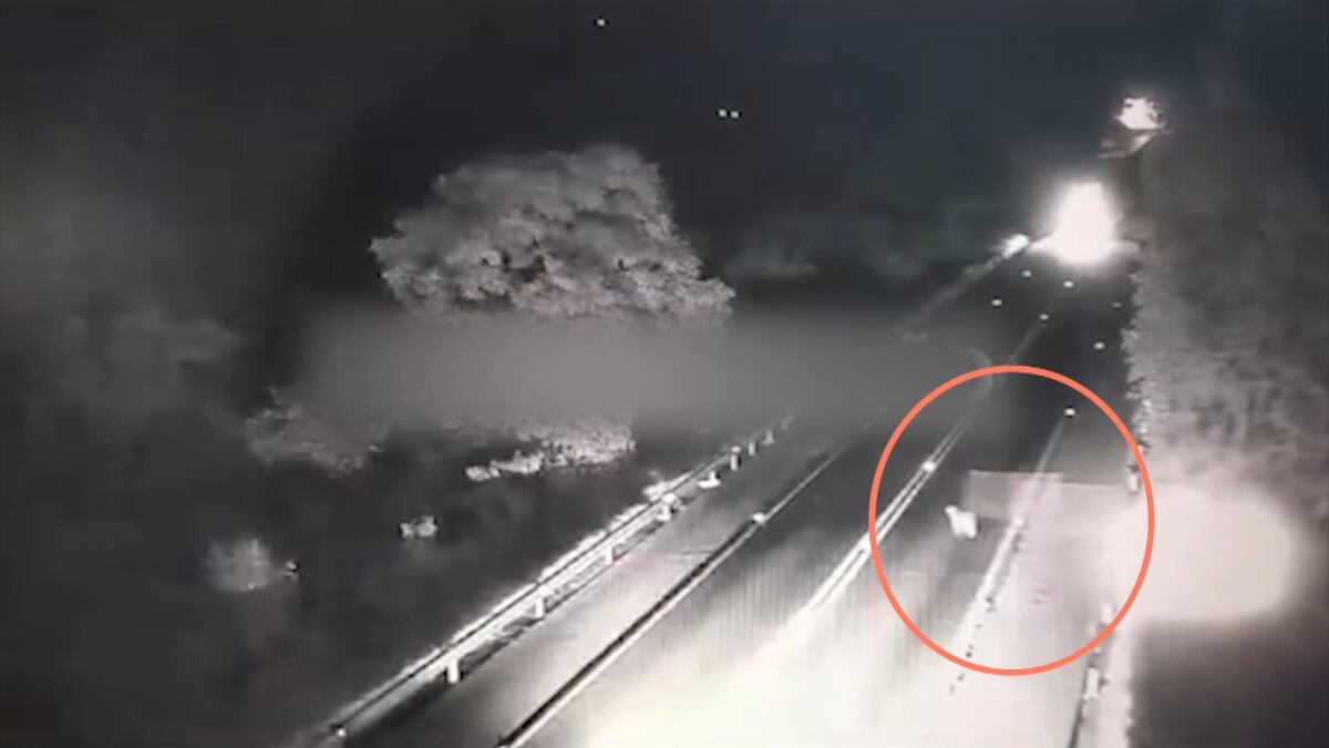 Carro tenta desviar de capivara e colide com carreta, que tomba em rodovia mineira; confira o momento