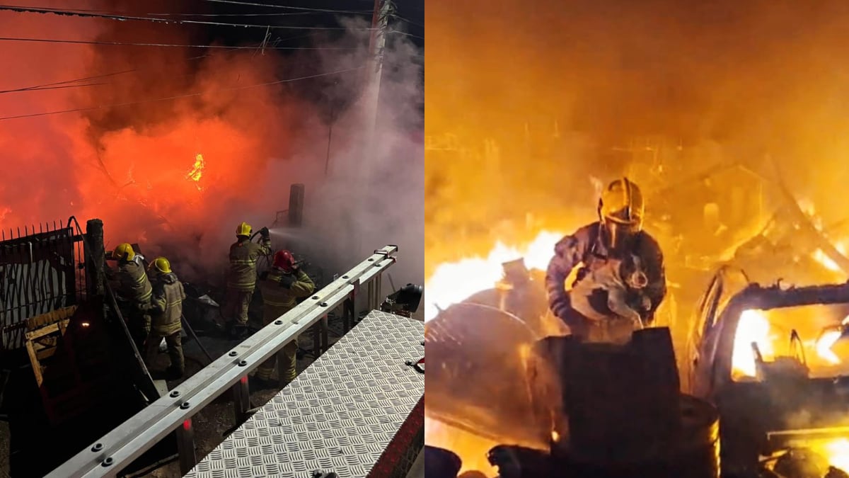 Bombeiros resgatam cadela durante incêndio em depósito às margens da BR-459 em MG